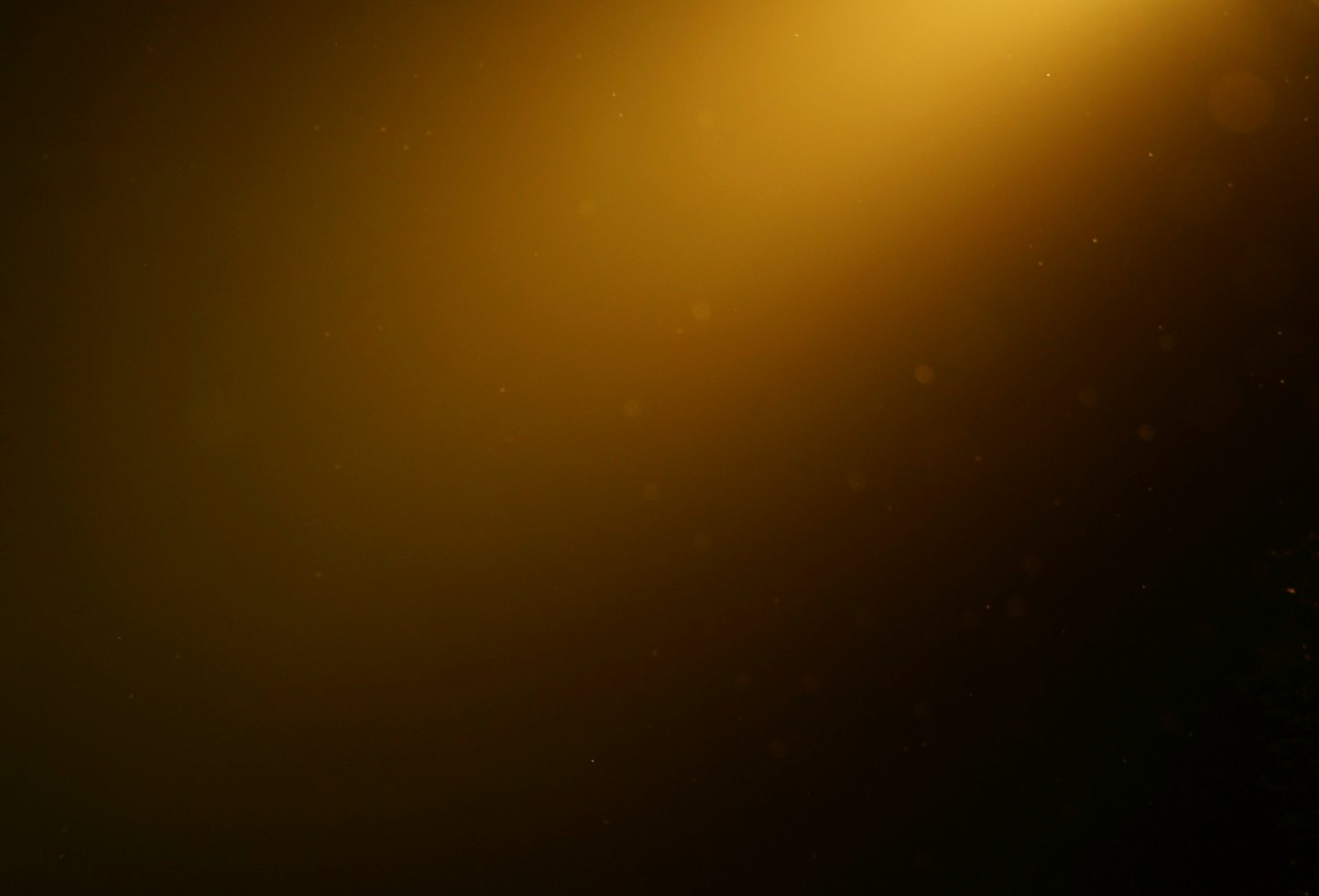 Una luce dorata illumina un campo scuro con minuscole particelle.